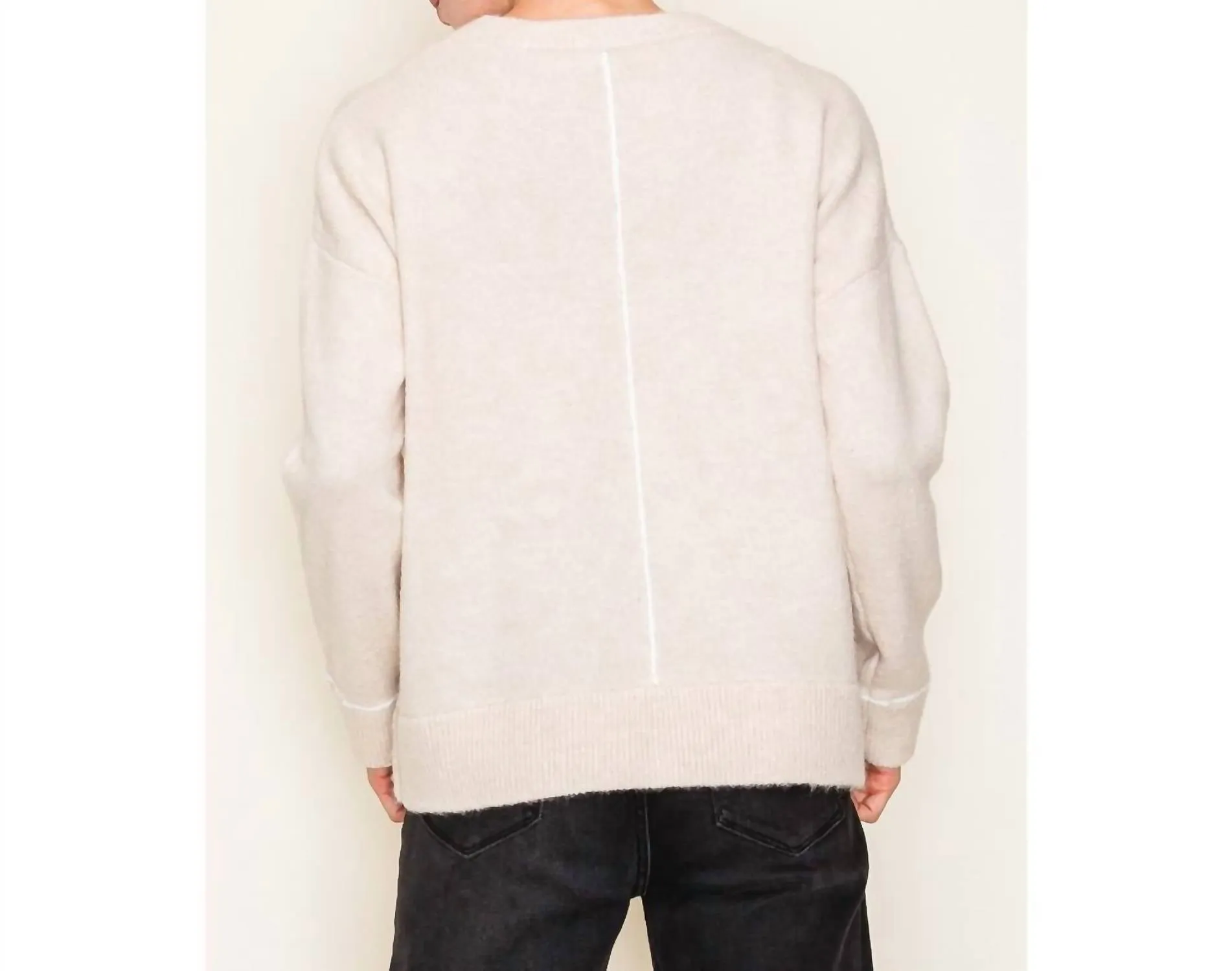 Color Line Detail Crew Neck Pullover Sweater In Oatmeal
