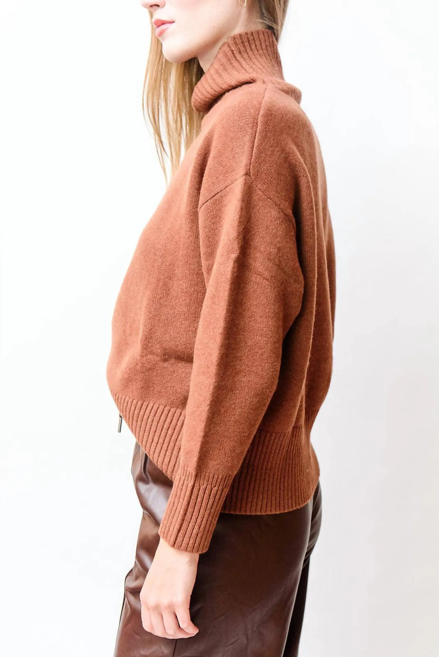 Pull Palace Turtleneck In Chocolate