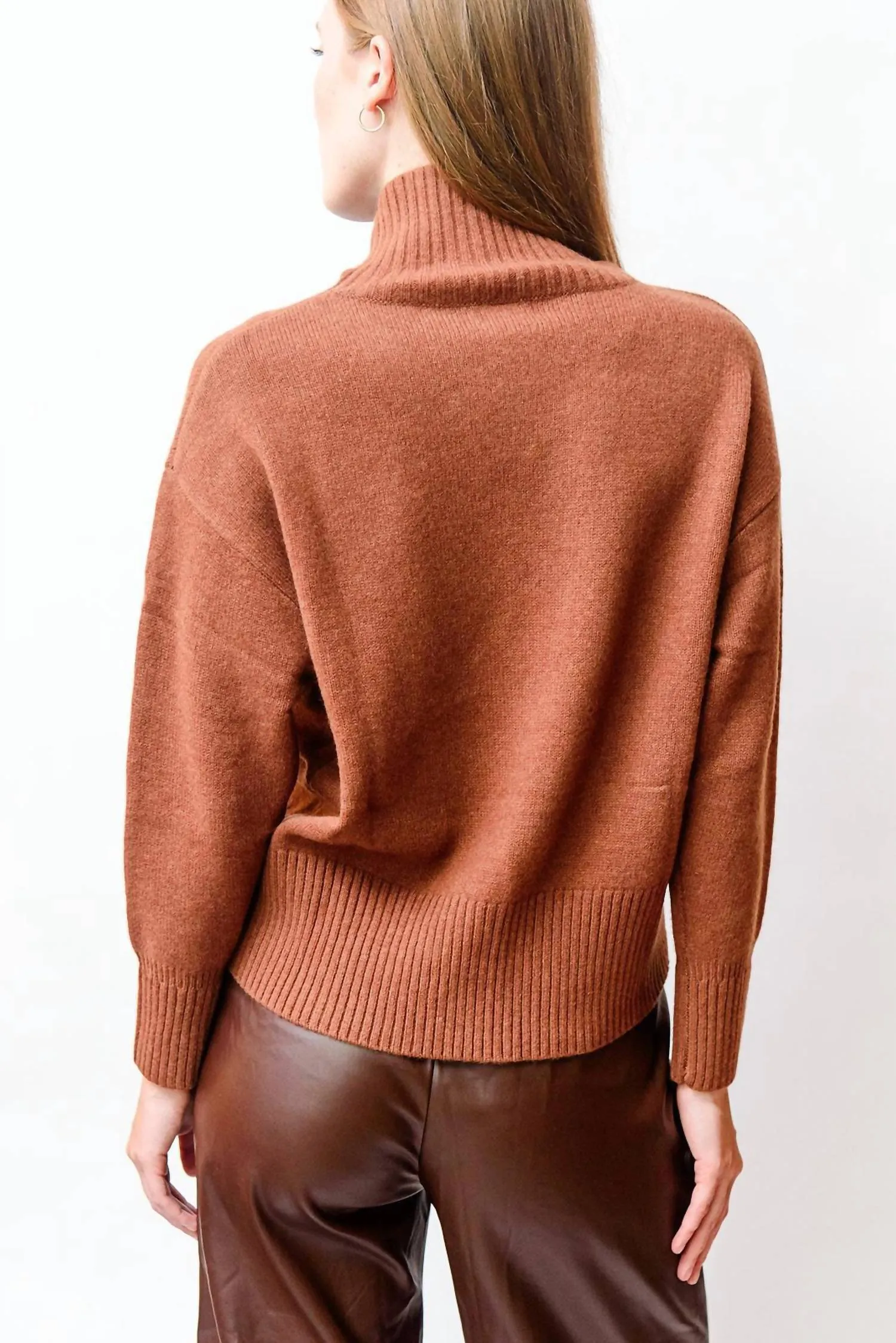 Pull Palace Turtleneck In Chocolate