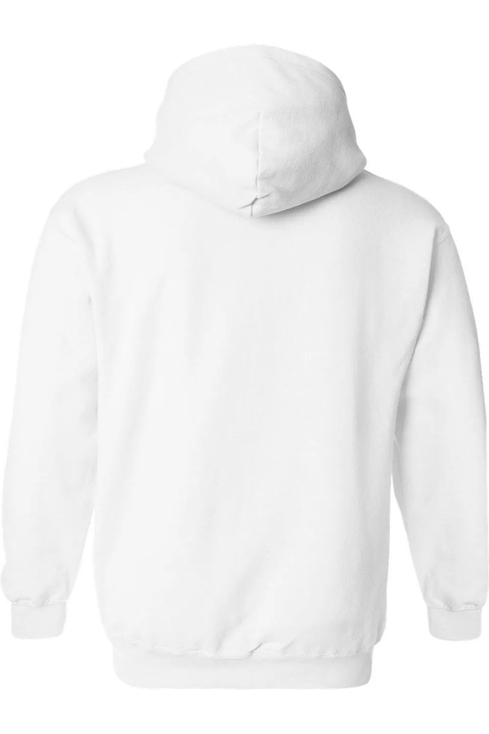 Sesame Street Furry Friends Forever! Abby Cadabby Adult Pull Over Hoodie