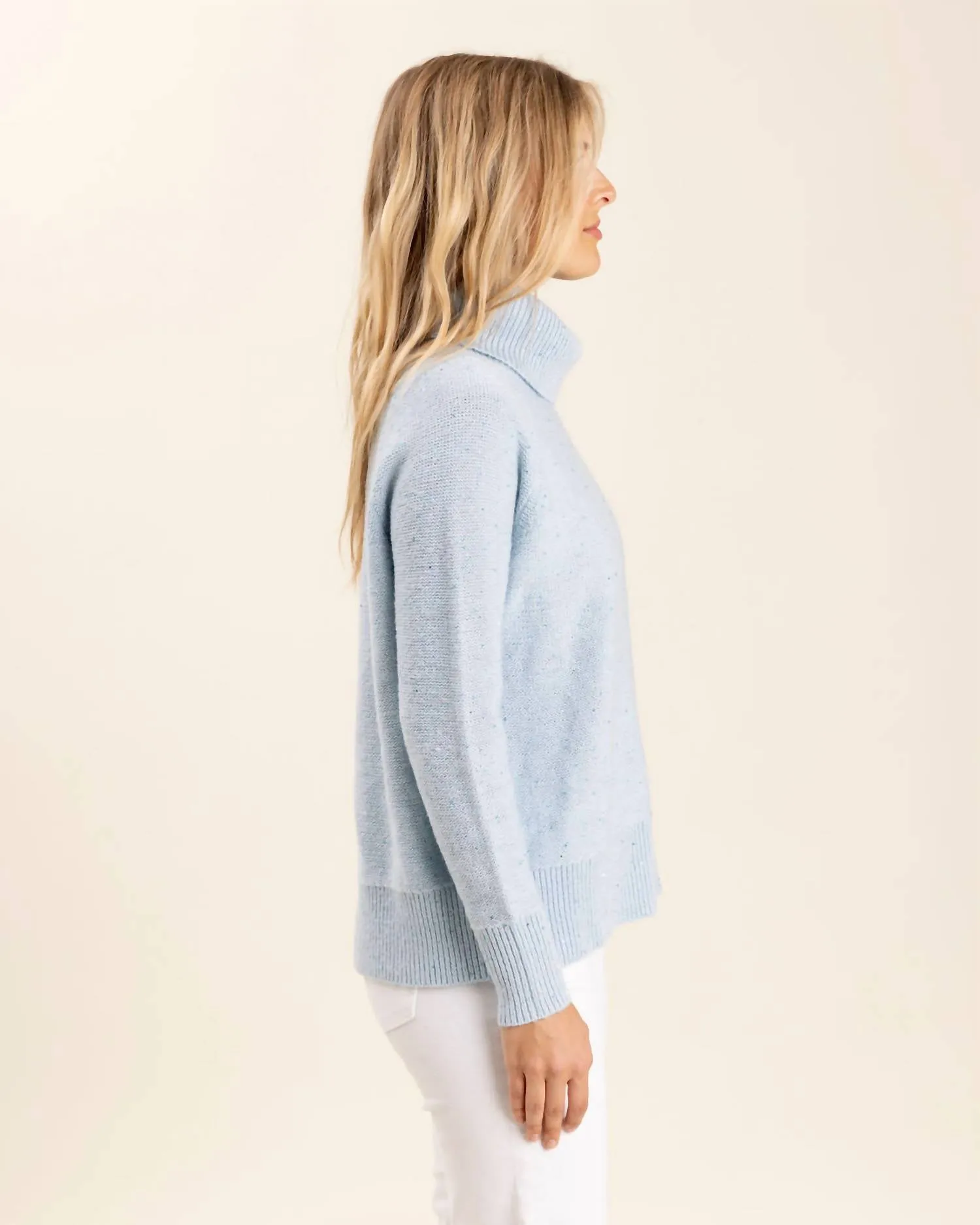 Whistler Sweater In Icicle